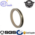 PTFE Spring Energized Seals for Food Processing